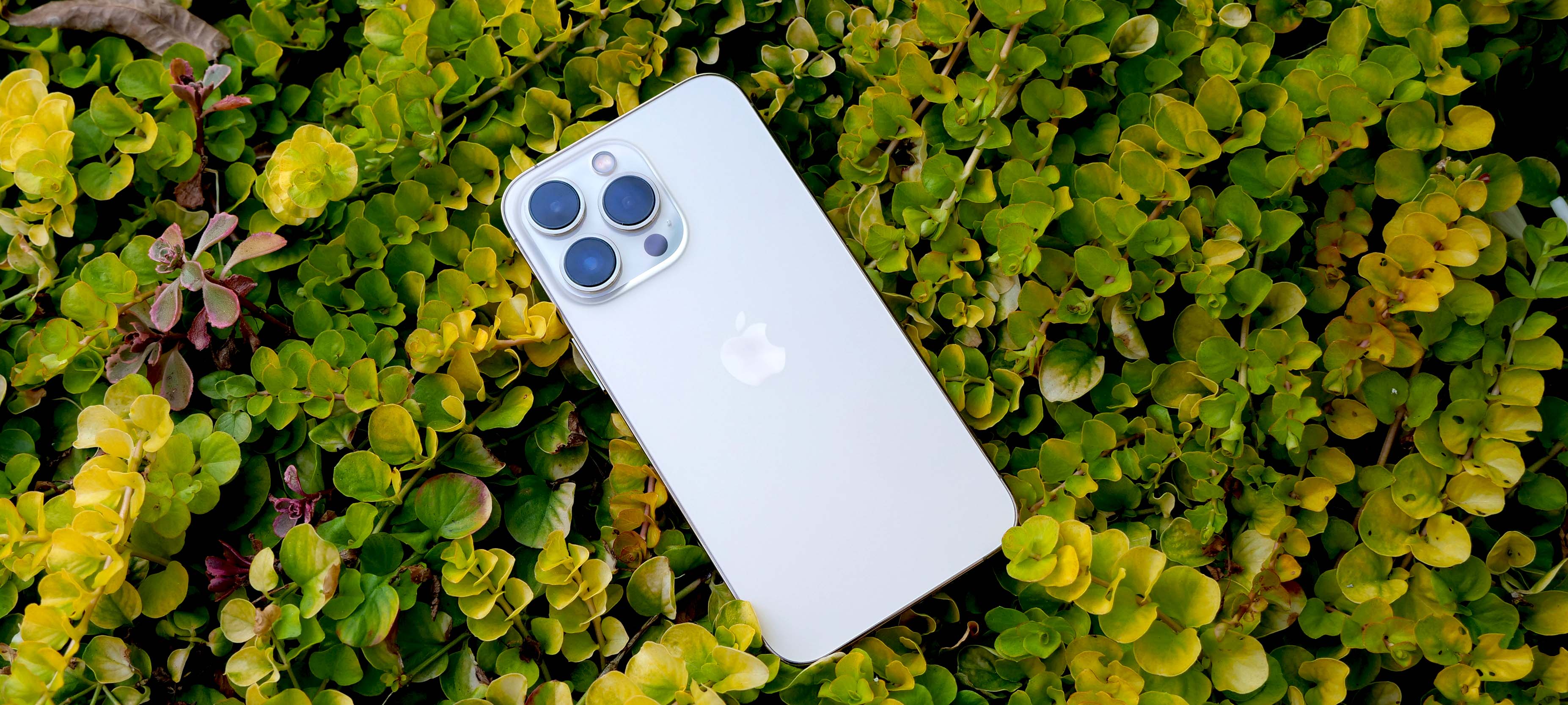 iPhone 13 Pro